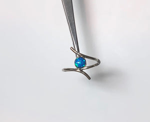 LW2698