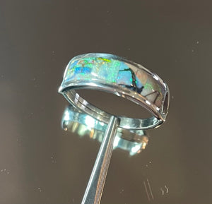 LW2608