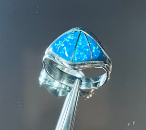 LW6309