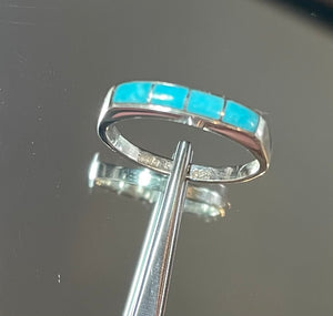 LW2525-2
